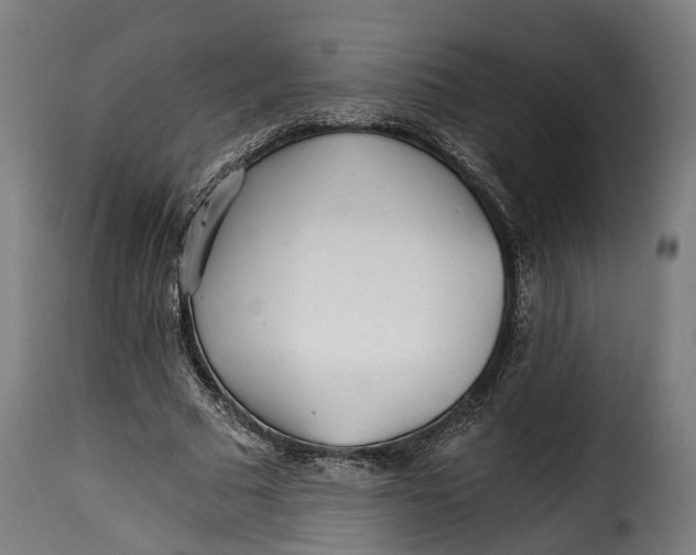 X0000115260681200911201706