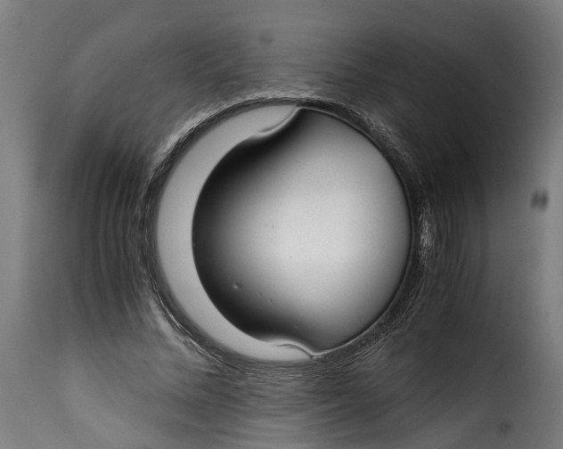 X0000115260684200911201706