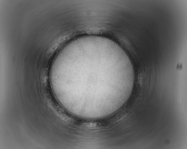 X0000115260687200911201706