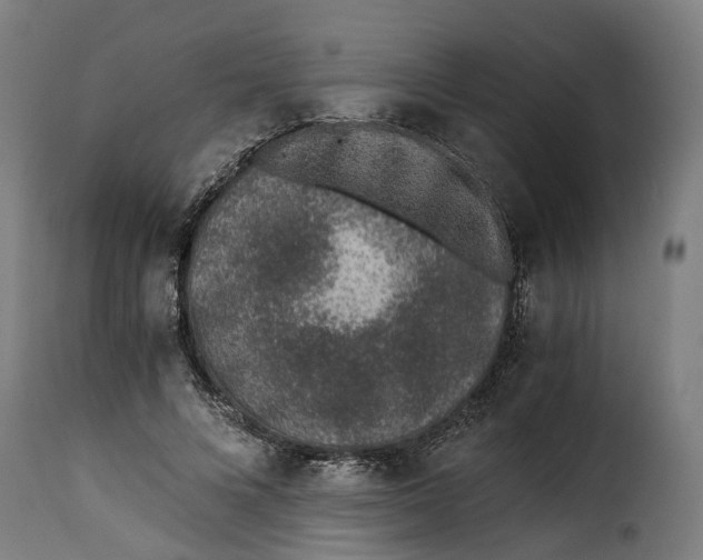 X0000115260688200911201706