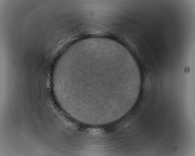 X0000115260689200911201706