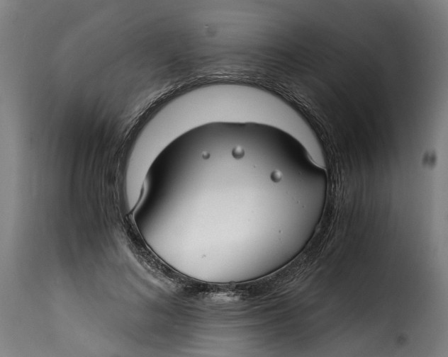 X0000115260692200911201706