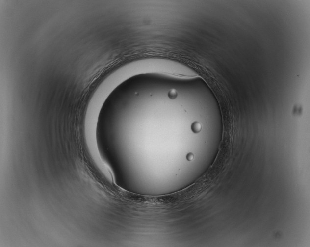 X0000115260696200911201706