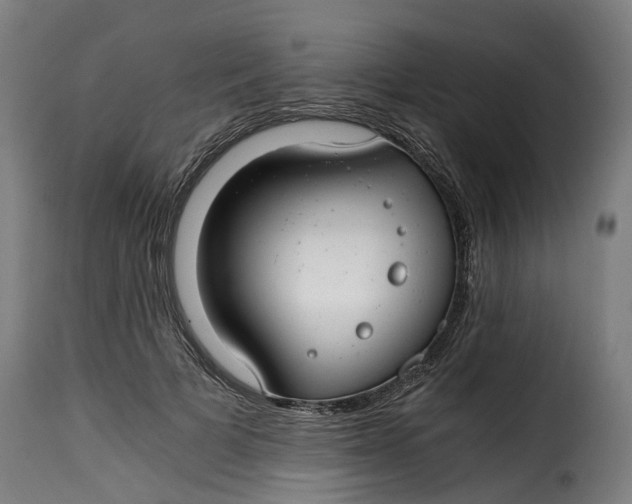 X0000115260697200911201706