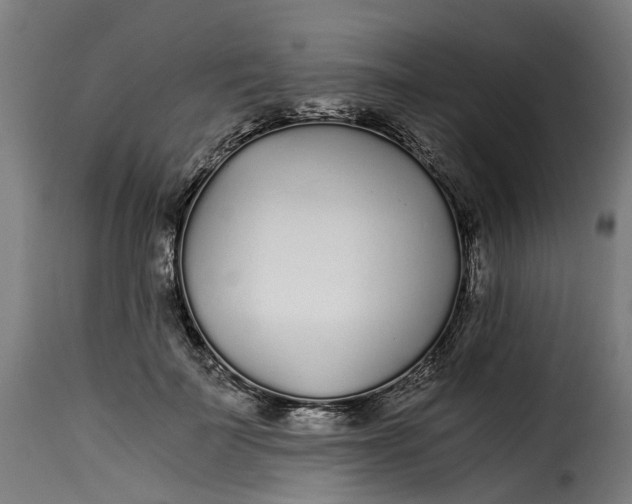 X0000115260699200911201706
