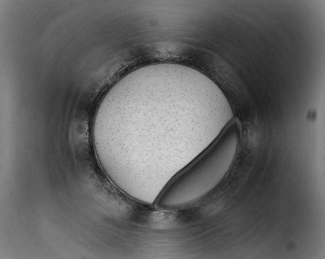 X0000115260700200911201706