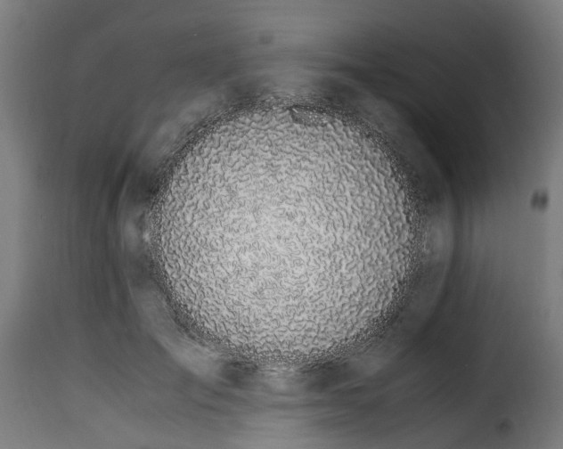 X0000115260701200911201706