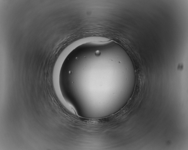 X0000115260705200911201706