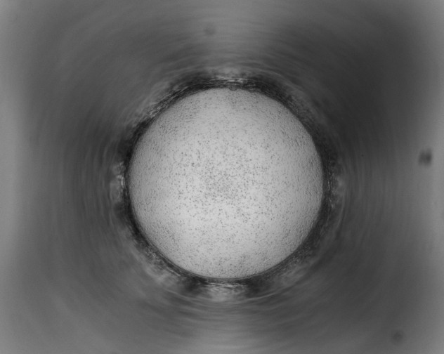 X0000115260707200911201706