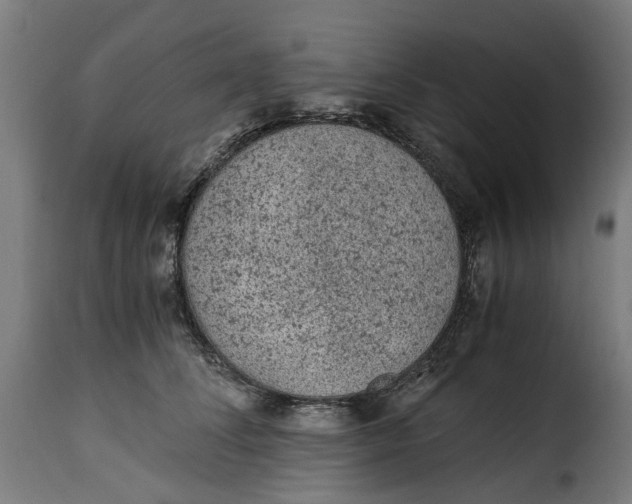 X0000115260708200911201706