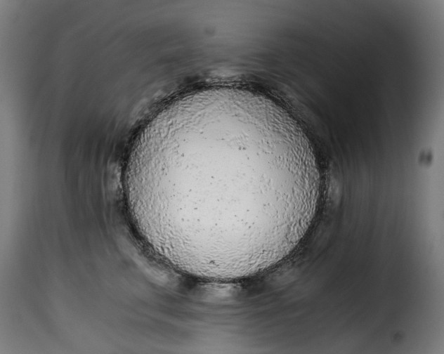 X0000115260711200911201705