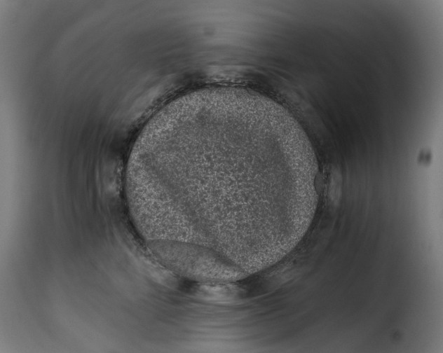 X0000115260712200911201705