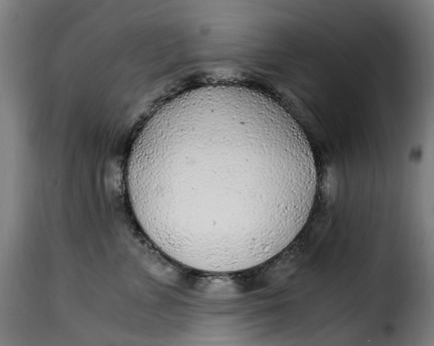 X0000115260715200911201705