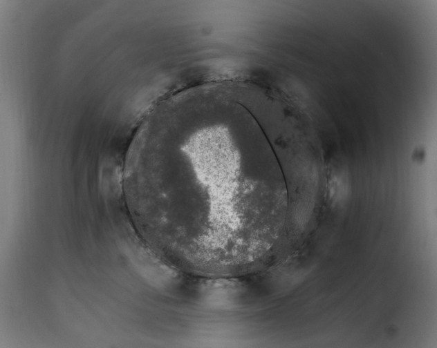 X0000115260716200911201705