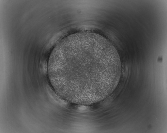 X0000115260718200911201705