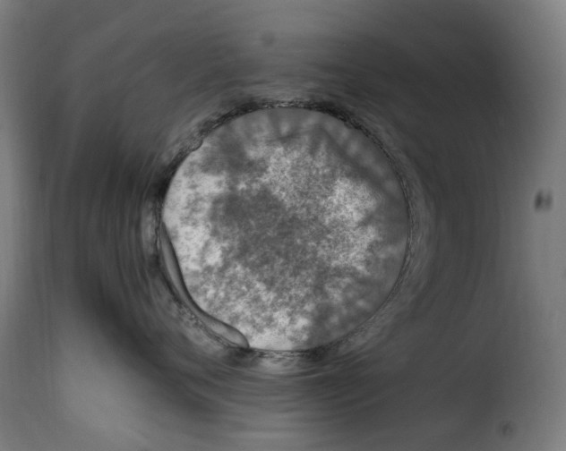 X0000115260720200911201705