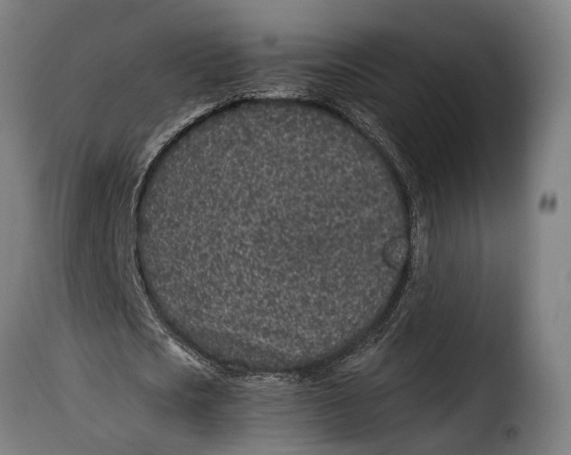 X0000115260721200911201705
