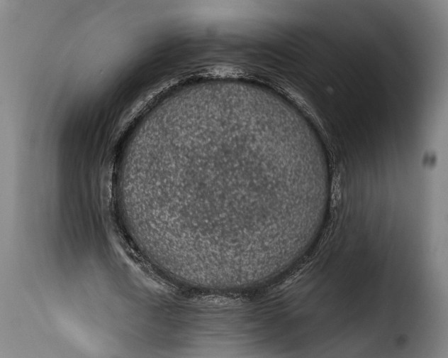 X0000115260722200911201705