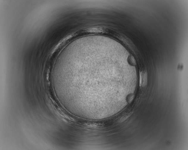 X0000115260723200911201705