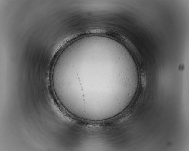 X0000115260725200911201705
