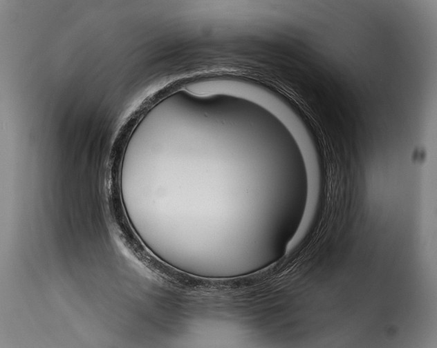 X0000115260726200911201705