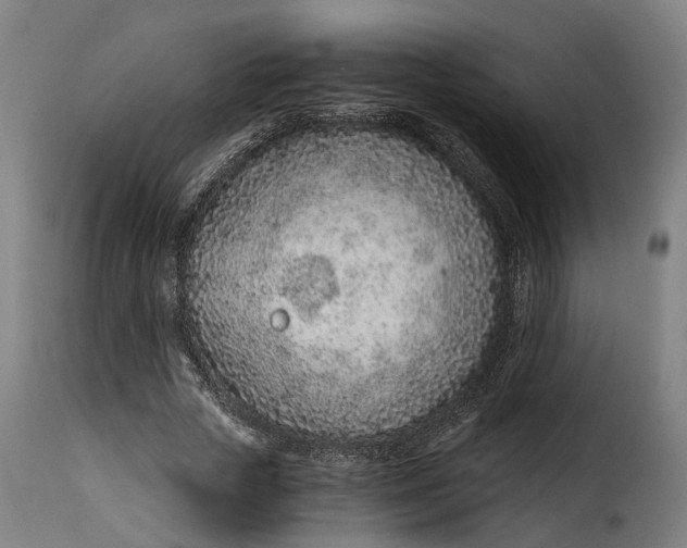 X0000115260729200911201705