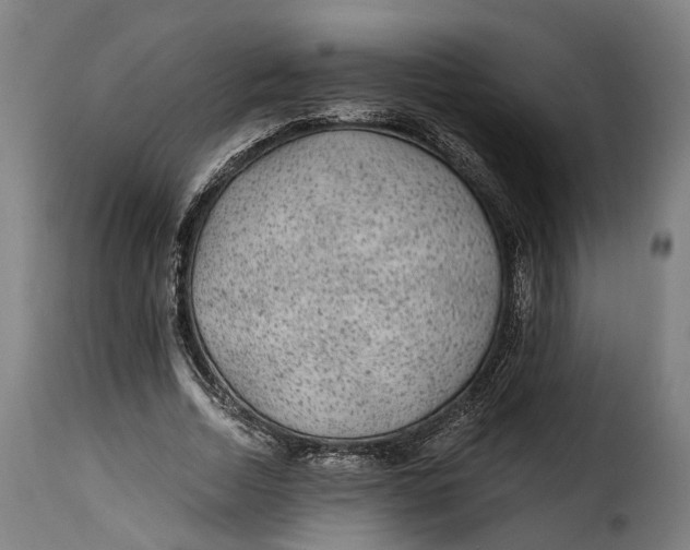 X0000115260730200911201705