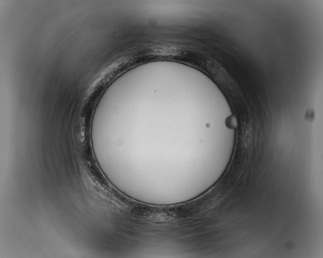 X0000115260731200911201705
