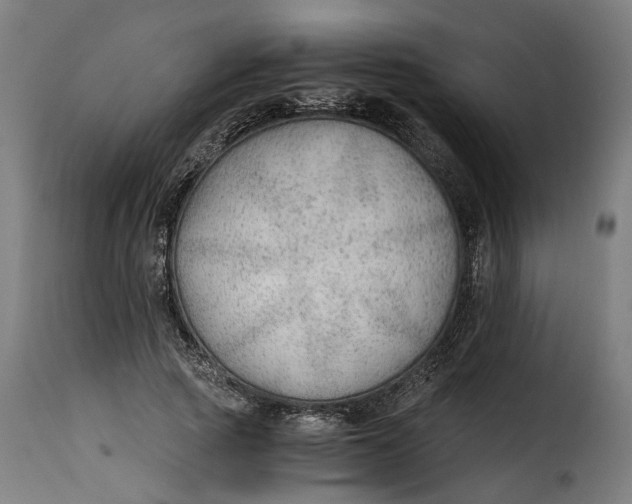 X0000115260737200911201705