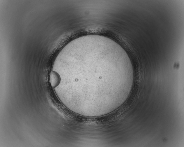 X0000115260738200911201705