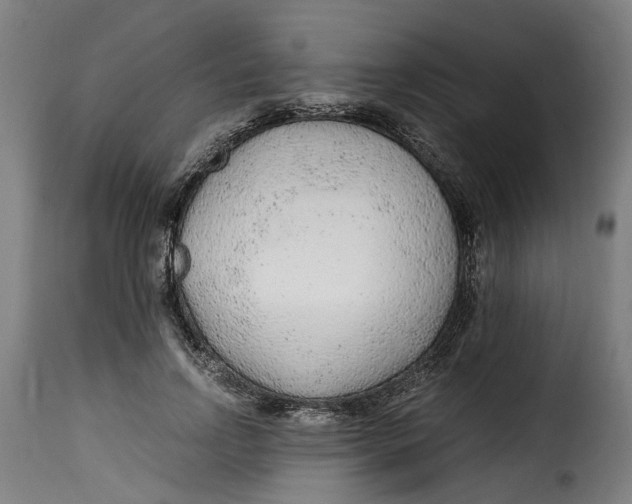 X0000115260742200911201705