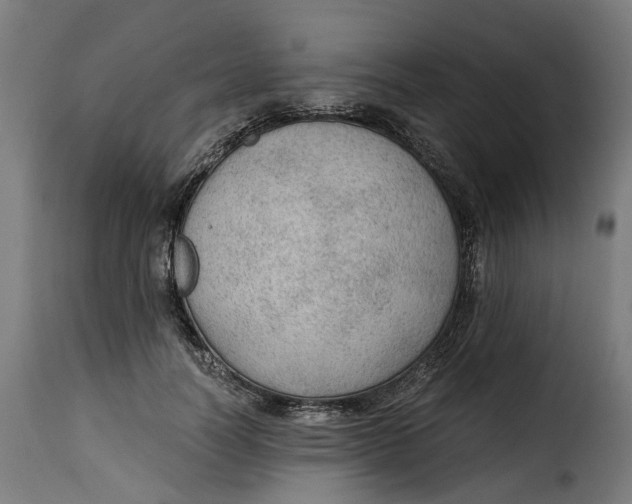 X0000115260746200911201705