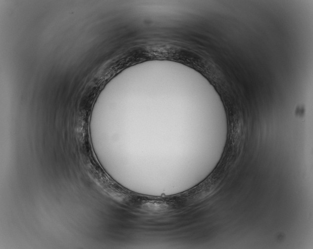 X0000115260749200911201705