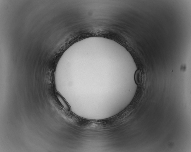 X0000115260750200911201705