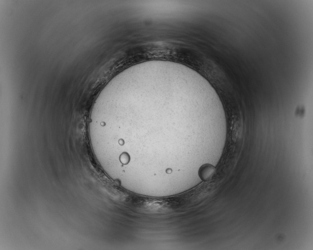 X0000115260753200911201705