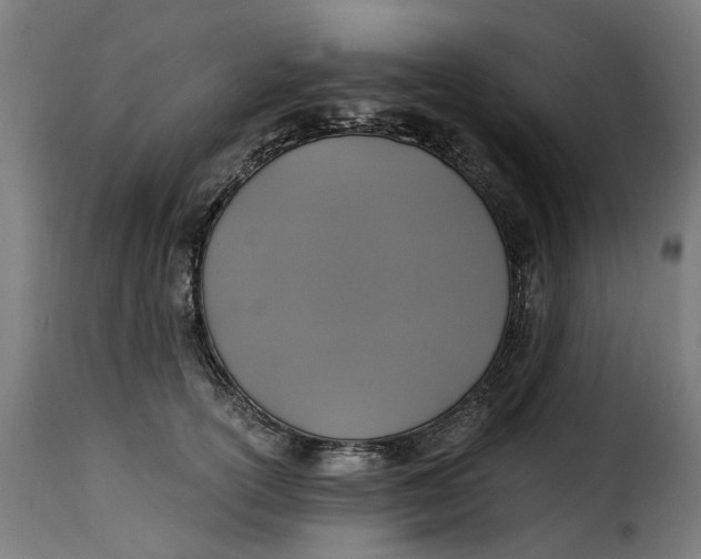 X0000115260754200911201705