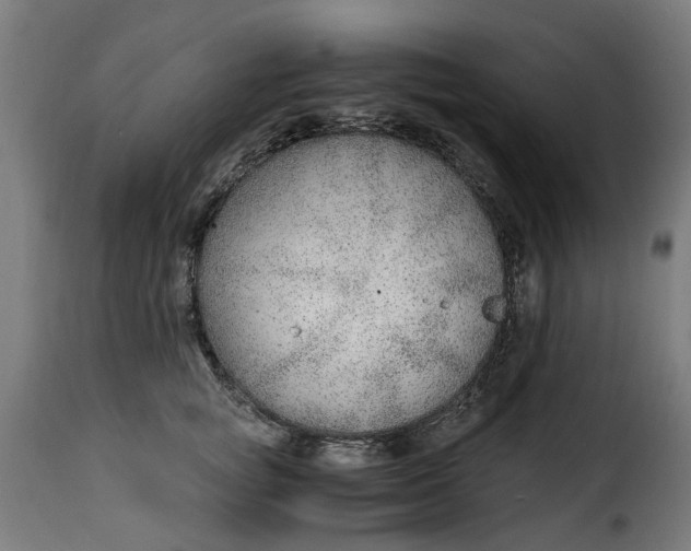 X0000115260757200911201705