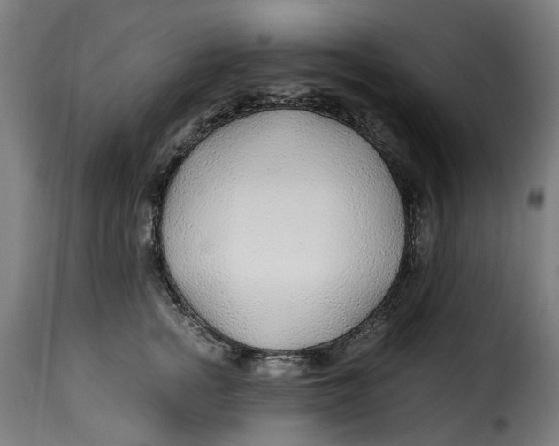 X0000115260758200911201705