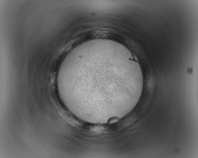 X0000115260759200911201705