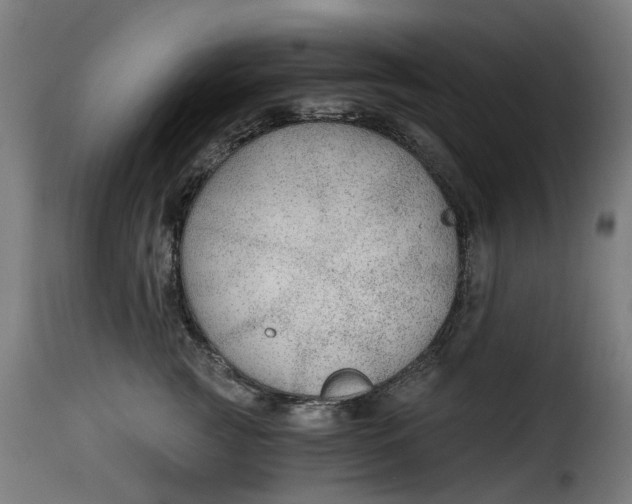 X0000115260761200911201705