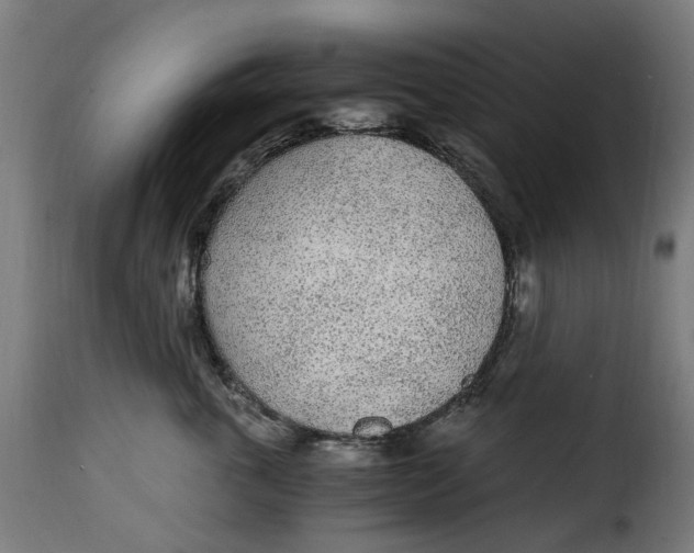 X0000115260763200911201705