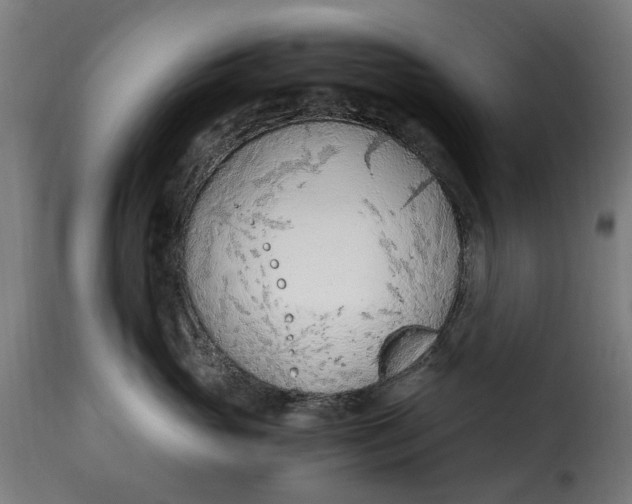 X0000115260765200911201705