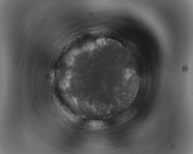 X0000115260767200911201705