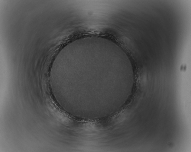X0000115260769200911201705