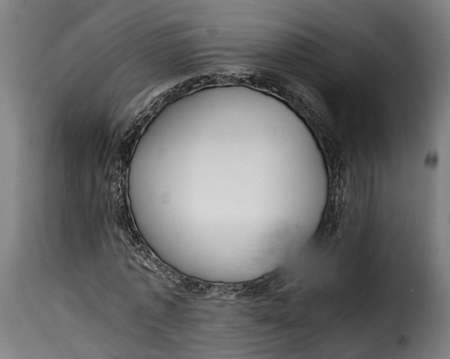 X0000115260773200911201704