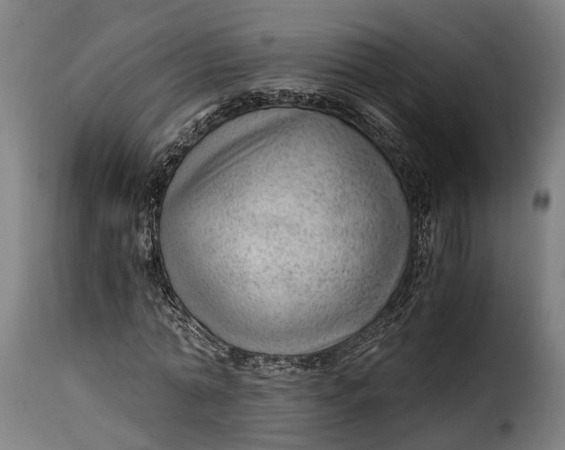 X0000115260774200911201704