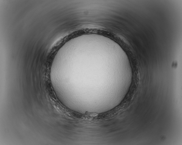 X0000115260775200911201704