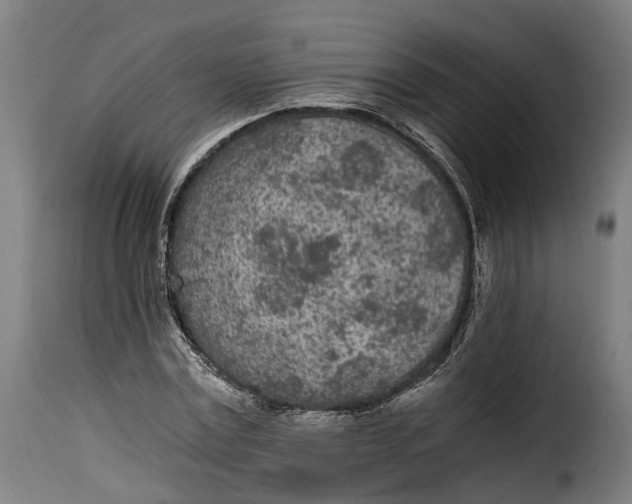 X0000115260779200911201704