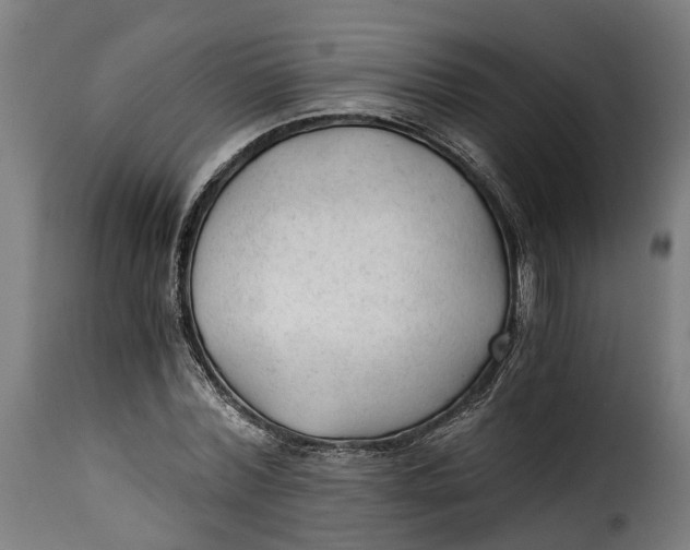 X0000115260780200911201704