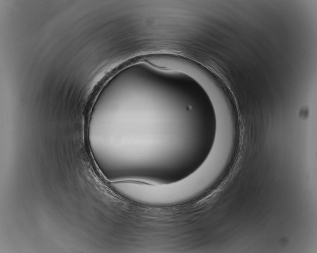 X0000115260781200911201704